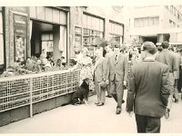 Kavana Dubrovnik, Trg bana Jelačića